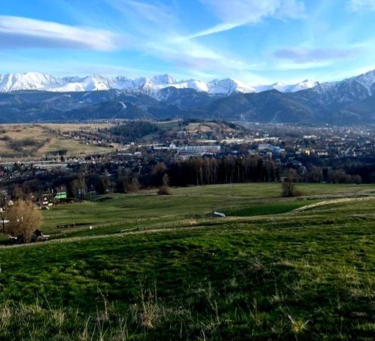 Działka rolna Zakopane Zwijacze, ul. Króle. Zdjęcie 1