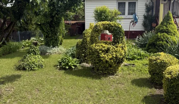 Działka rod Kalisz, ul. Złota