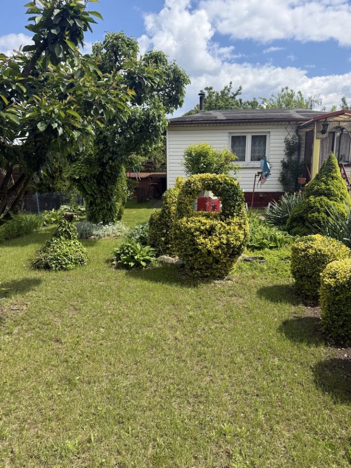 Działka rod Kalisz, ul. Złota. Zdjęcie 1