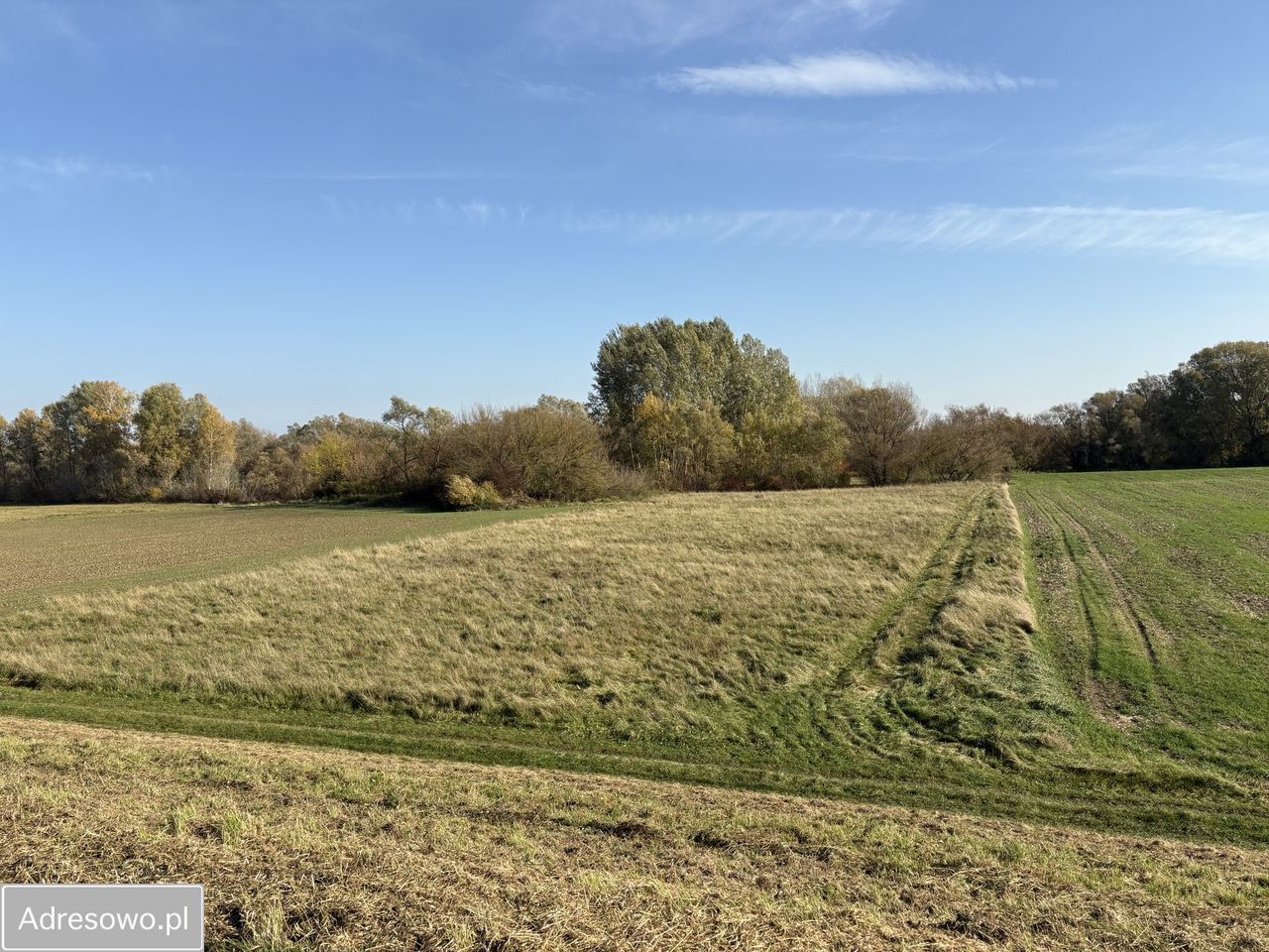 Działka rolna Topolno. Zdjęcie 2