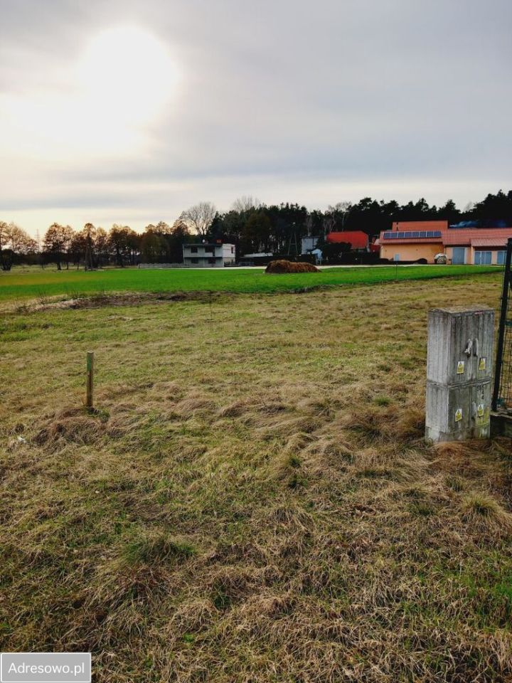 Działka rekreacyjna Obra. Zdjęcie 6