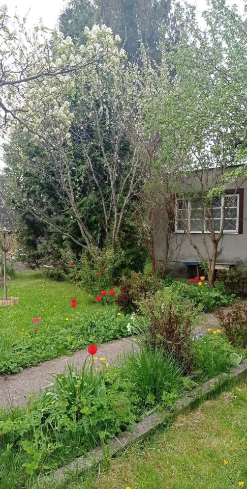 Działka rekreacyjna Malbork, ul. Sadowa