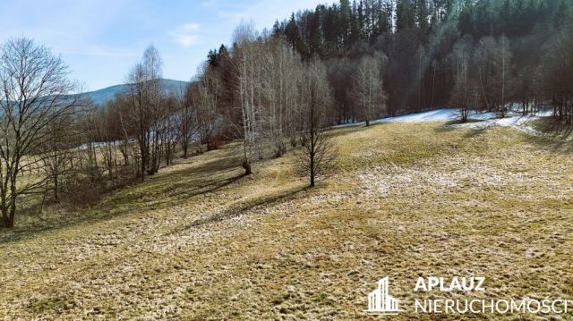 Działka rolna Miłków, ul. Górska. Zdjęcie 9