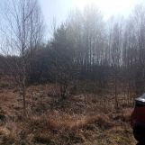 Działka rolno-budowlana Dąbrowa. Zdjęcie 3