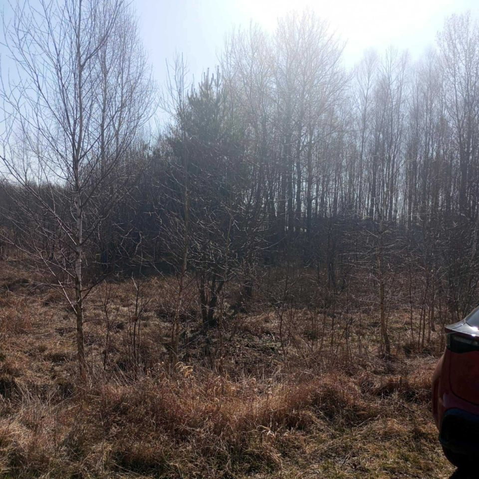 Działka rolno-budowlana Dąbrowa. Zdjęcie 4