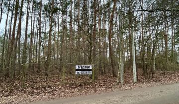 Działka leśna Legionowo, ul. Dębowa