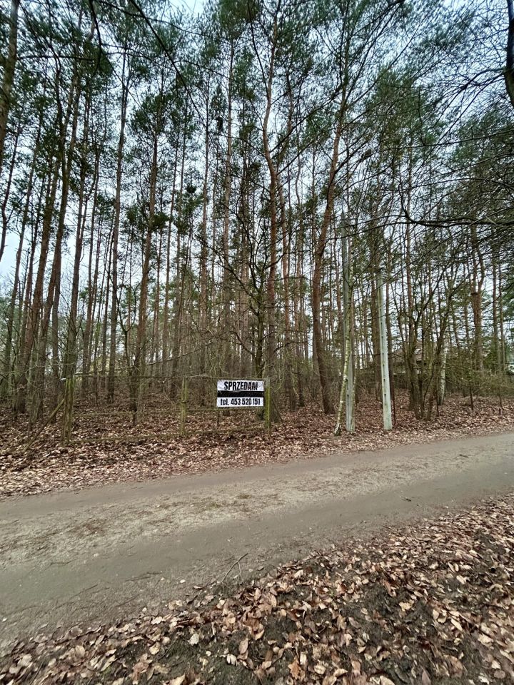 Działka leśna Legionowo, ul. Dębowa