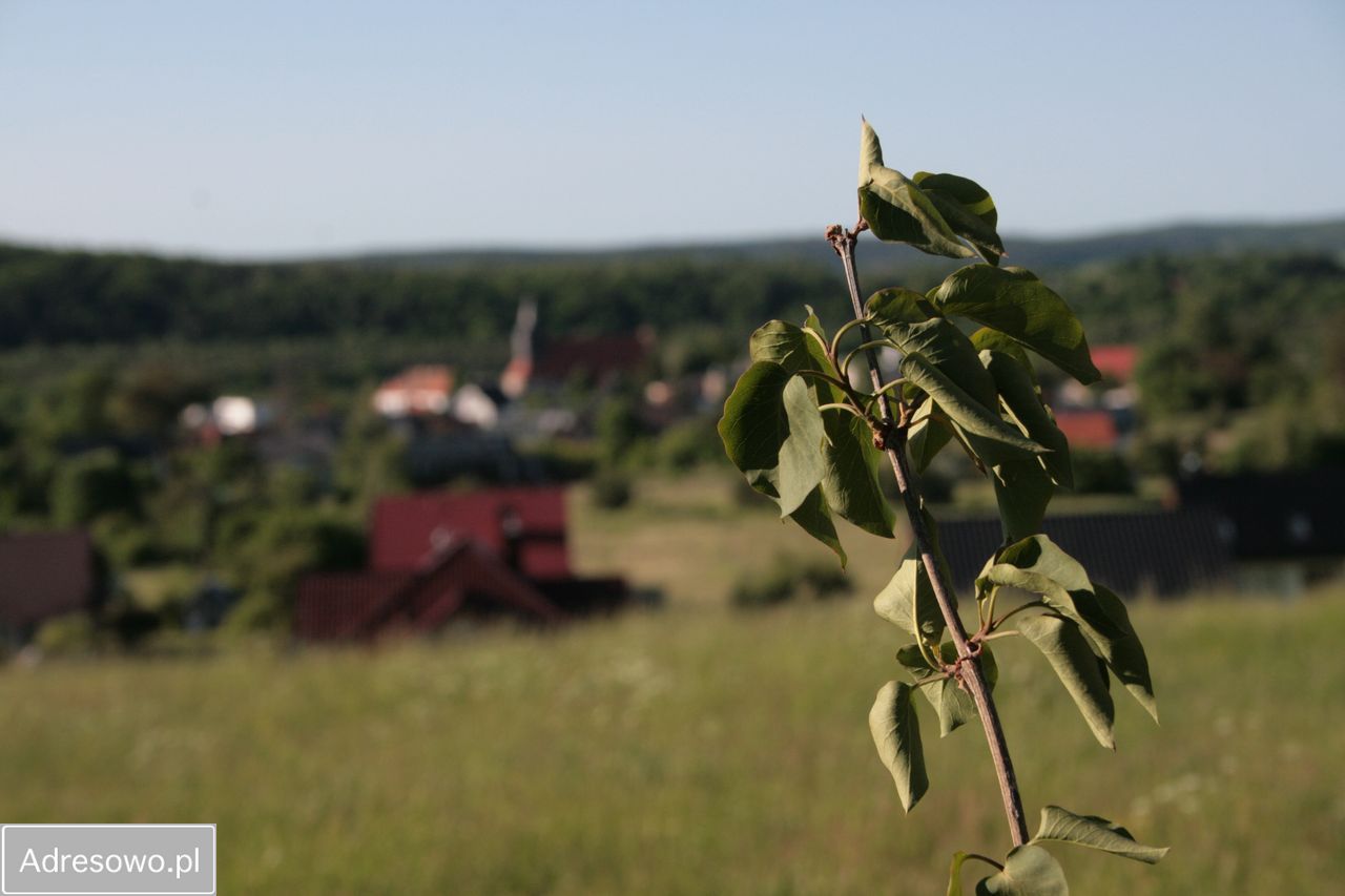 Działka budowlana Pręgowo. Zdjęcie 12