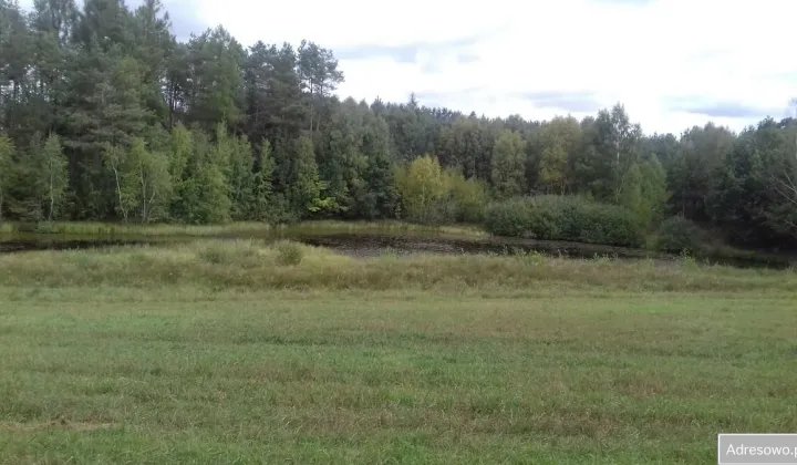 Działka leśna Mściszewice