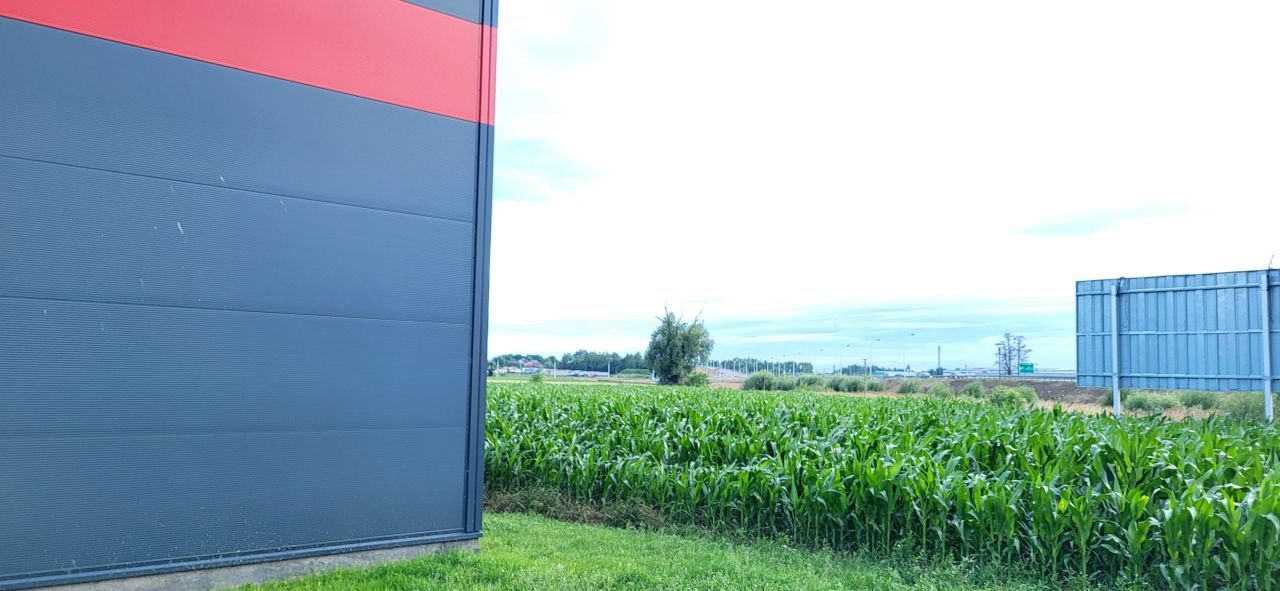 Hala/magazyn Skalmierzyce, ul. Bielawska. Zdjęcie 9