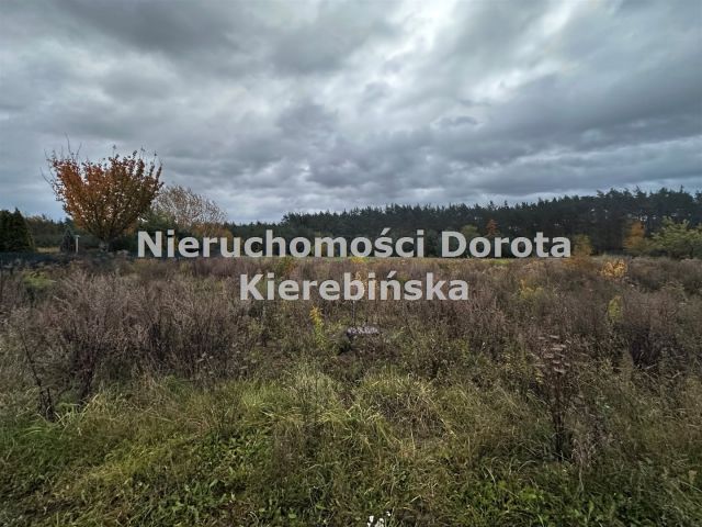 Działka budowlana Wiaderno. Zdjęcie 3