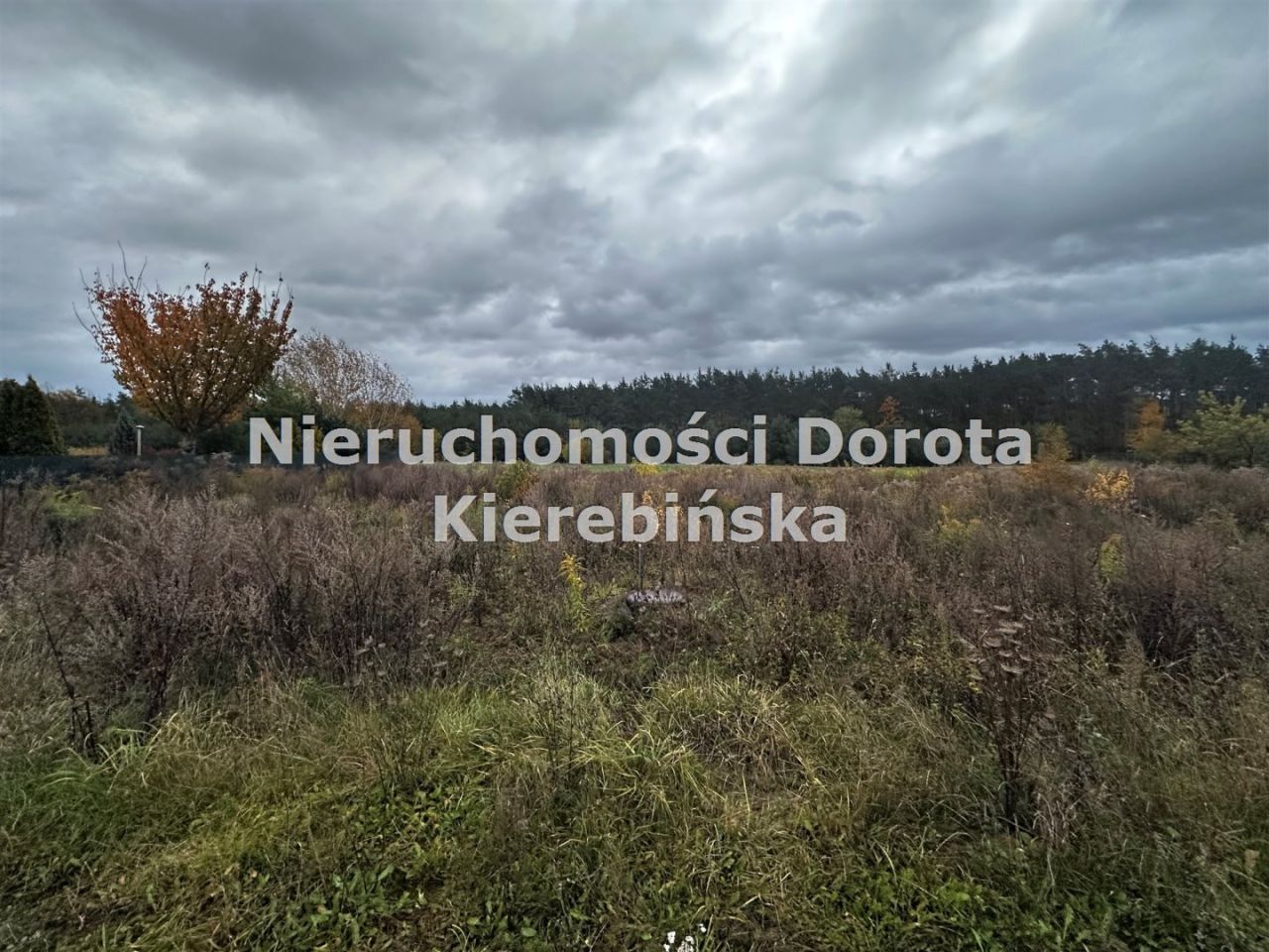 Działka budowlana Wiaderno. Zdjęcie 3