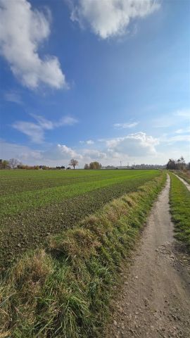 Działka inwestycyjna Ćwiklice. Zdjęcie 2