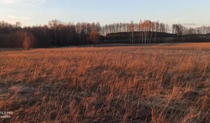 Działka budowlana Rybno, ul. Topolowa