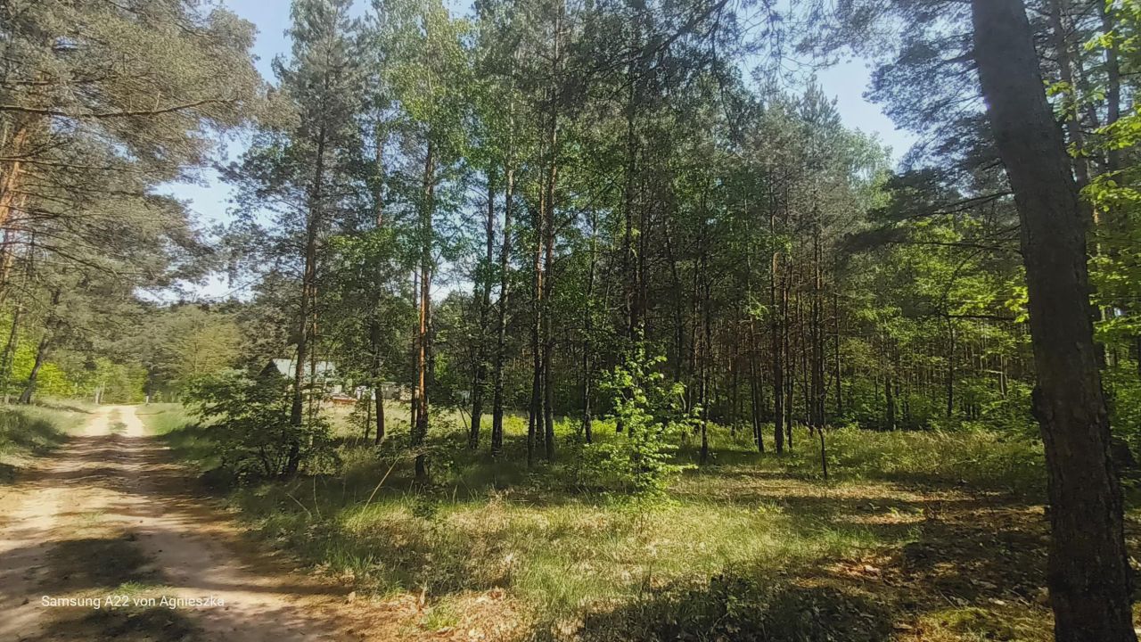 Działka budowlana Maciejewo. Zdjęcie 9