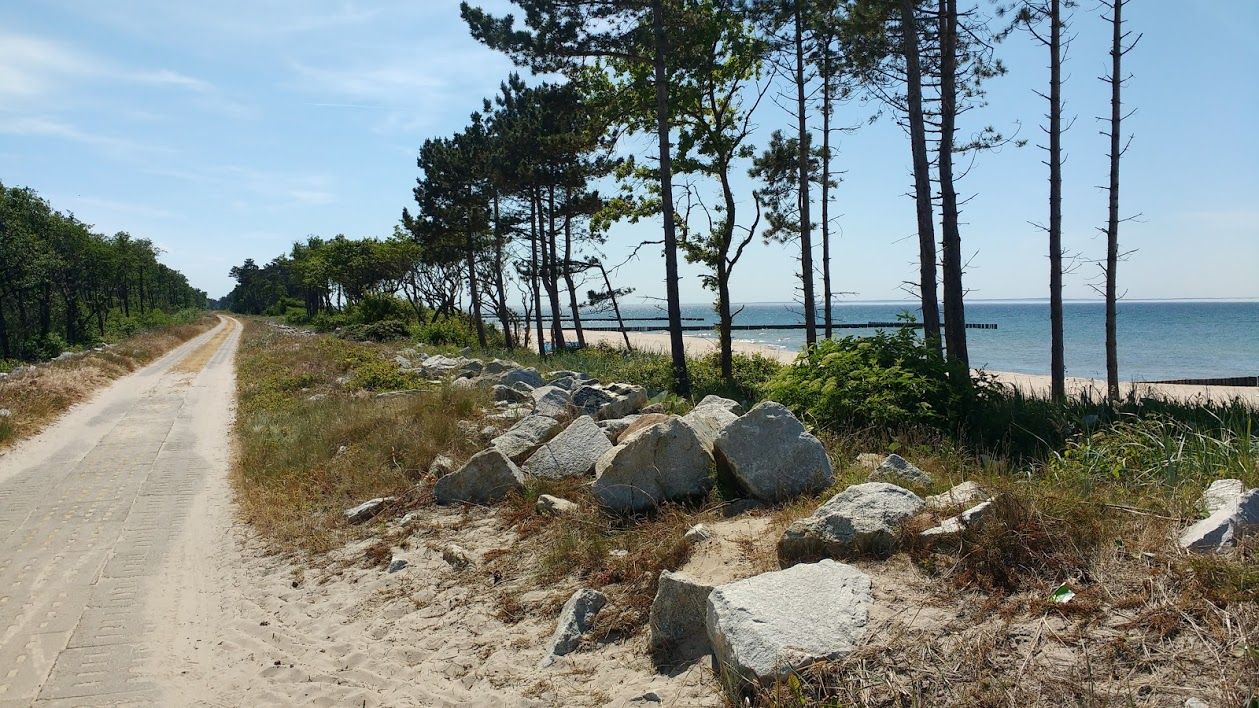 Nieruchomość komercyjna Kopań. Zdjęcie 14