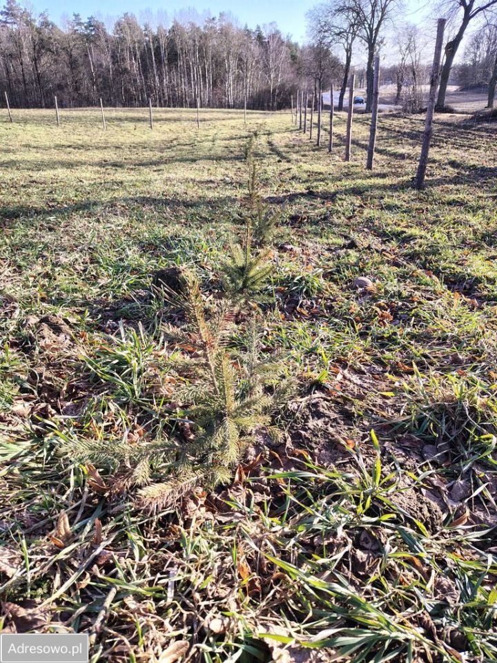 dom wolnostojący, 3 pokoje Krzyżówki. Zdjęcie 17