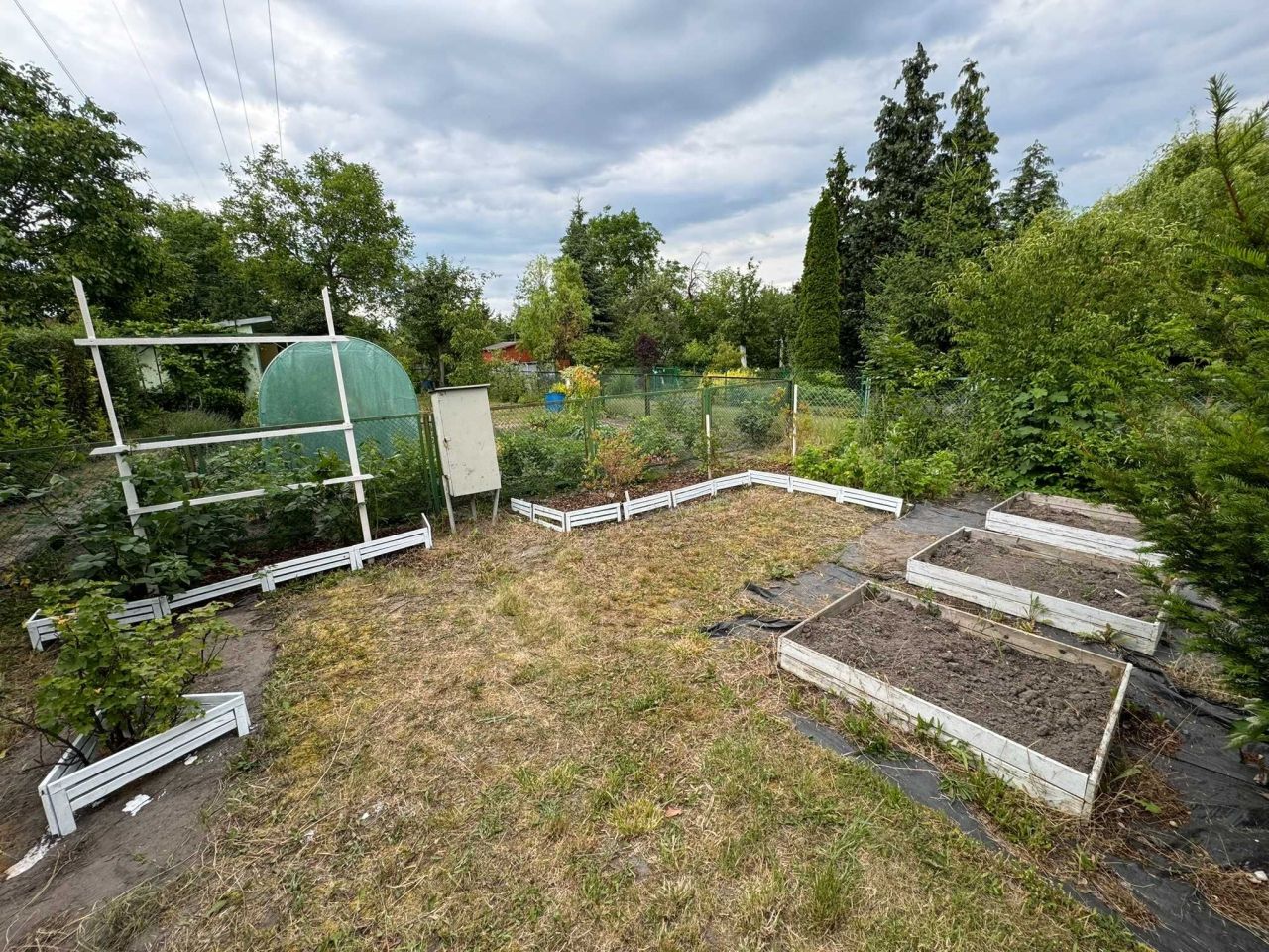 Działka rod Wrocław Krzyki. Zdjęcie 3