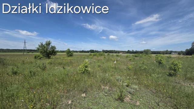 Działka rolna Idzikowice. Zdjęcie 7