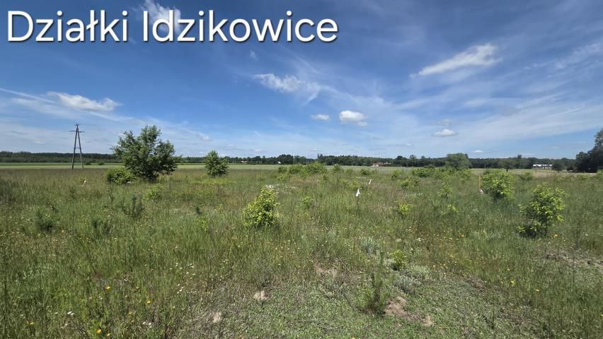 Działka rolna Idzikowice. Zdjęcie 7
