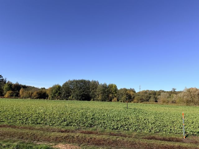 Działka budowlana Góra Kajęcin, ul. Łąkowa. Zdjęcie 1