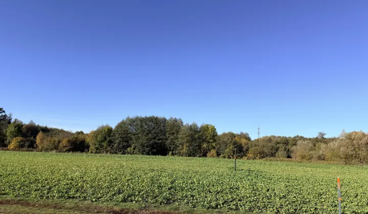 Działka budowlana Góra Kajęcin, ul. Łąkowa