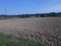 Działka budowlana Stara Wieś. Zdjęcie 1