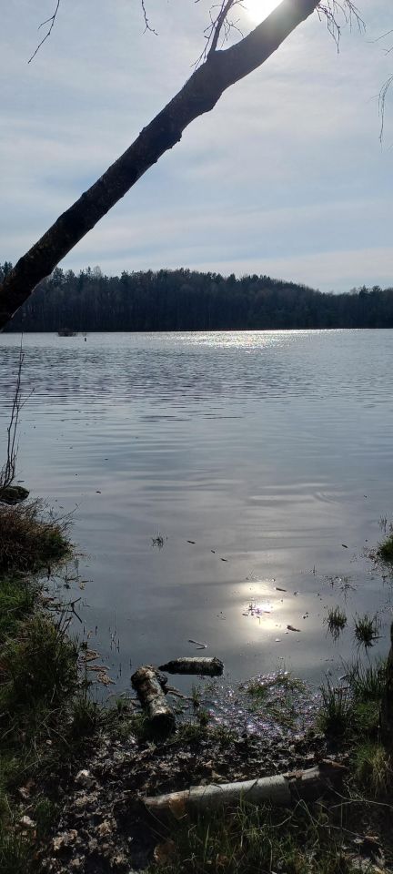 Działka budowlana Łosienice Dąbrowa. Zdjęcie 7