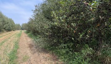 Działka rolno-budowlana Stojeszyn Pierwszy