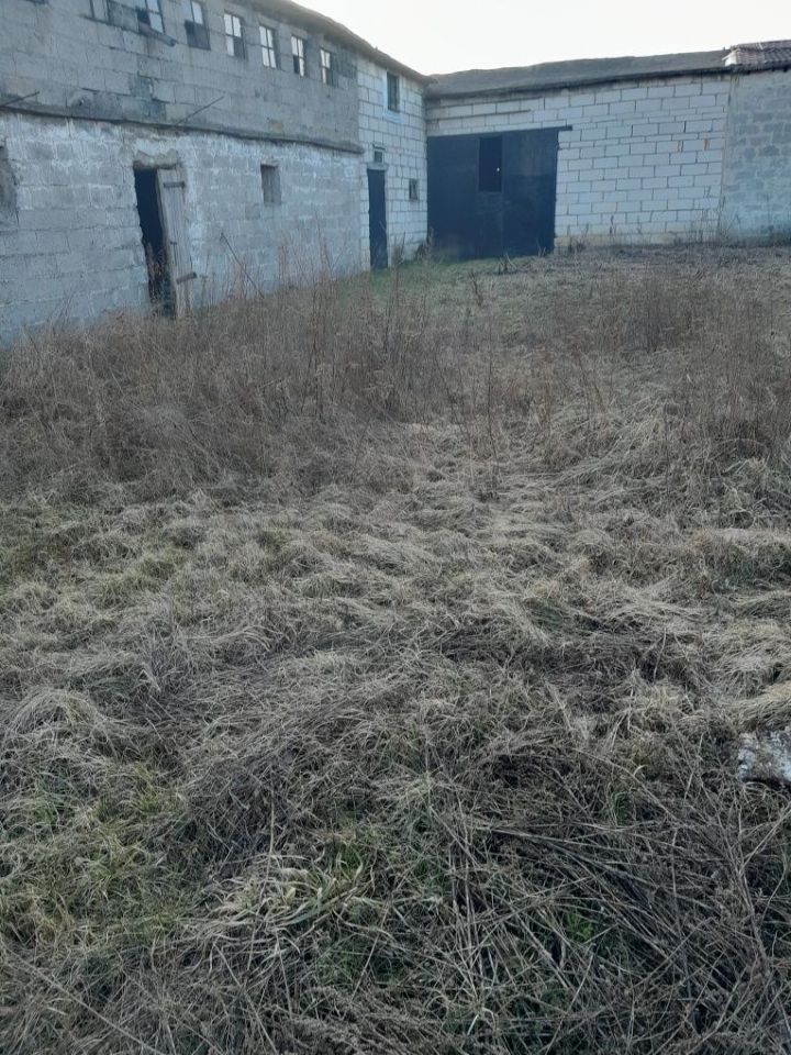 siedlisko Myszki. Zdjęcie 5