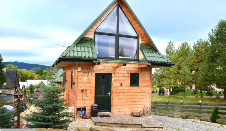 dom wolnostojący, 10 pokoi Dzianisz