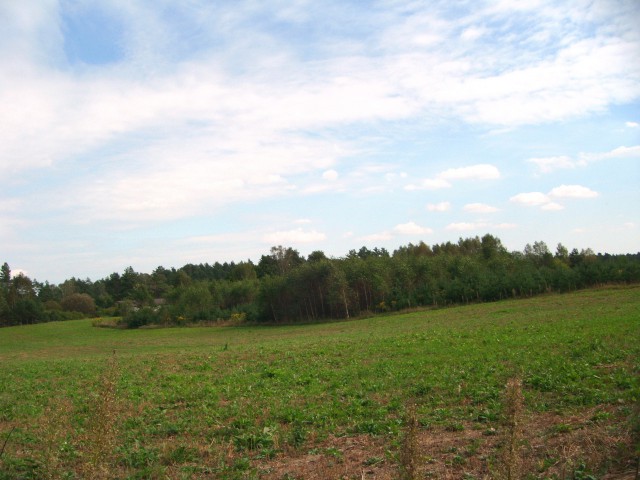 Działka rolno-budowlana Mielno. Zdjęcie 1
