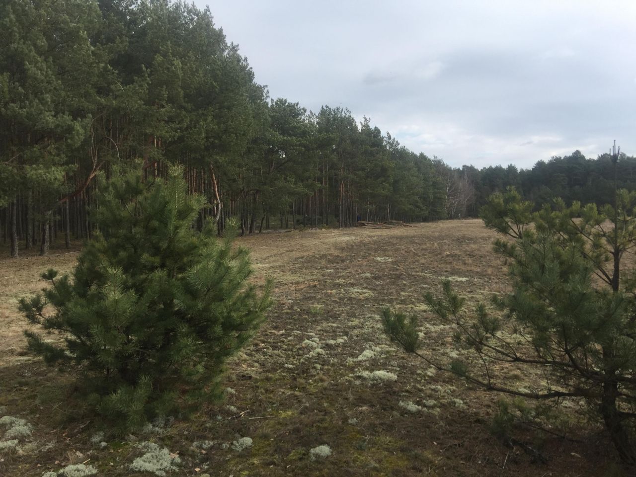 Działka budowlana Zielonka, ul. Koperkowa. Zdjęcie 11