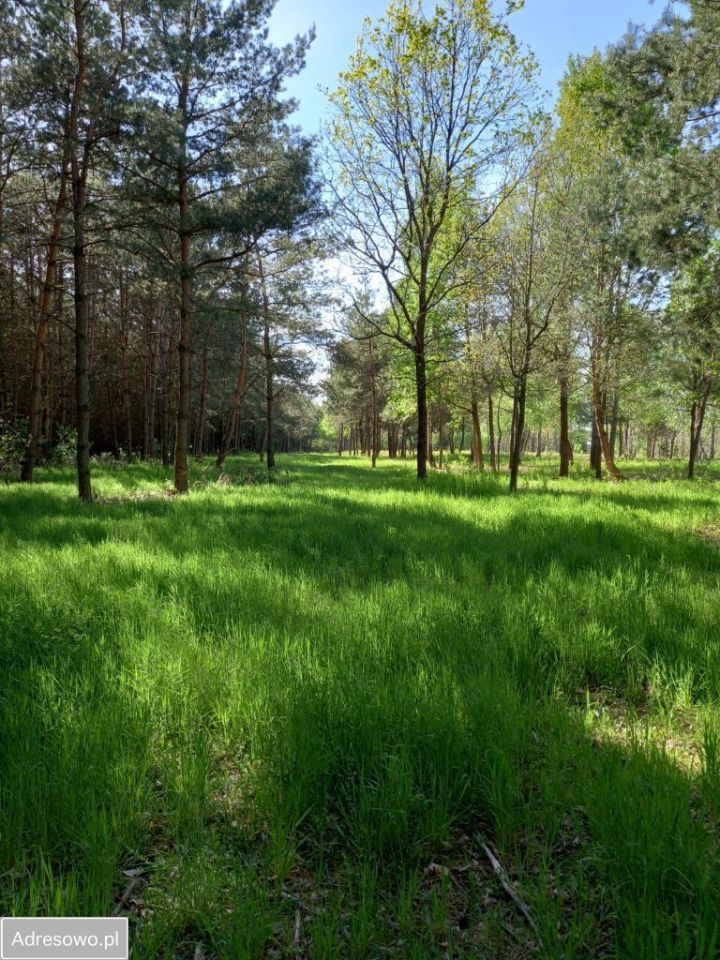 Działka budowlana Kępiaste. Zdjęcie 3