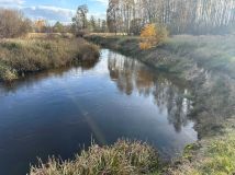 Działka rolna Grabno. Zdjęcie 3