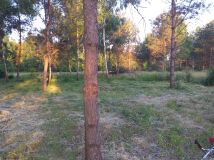 Działka budowlana Tłumy, Poprzeczna. Zdjęcie 1