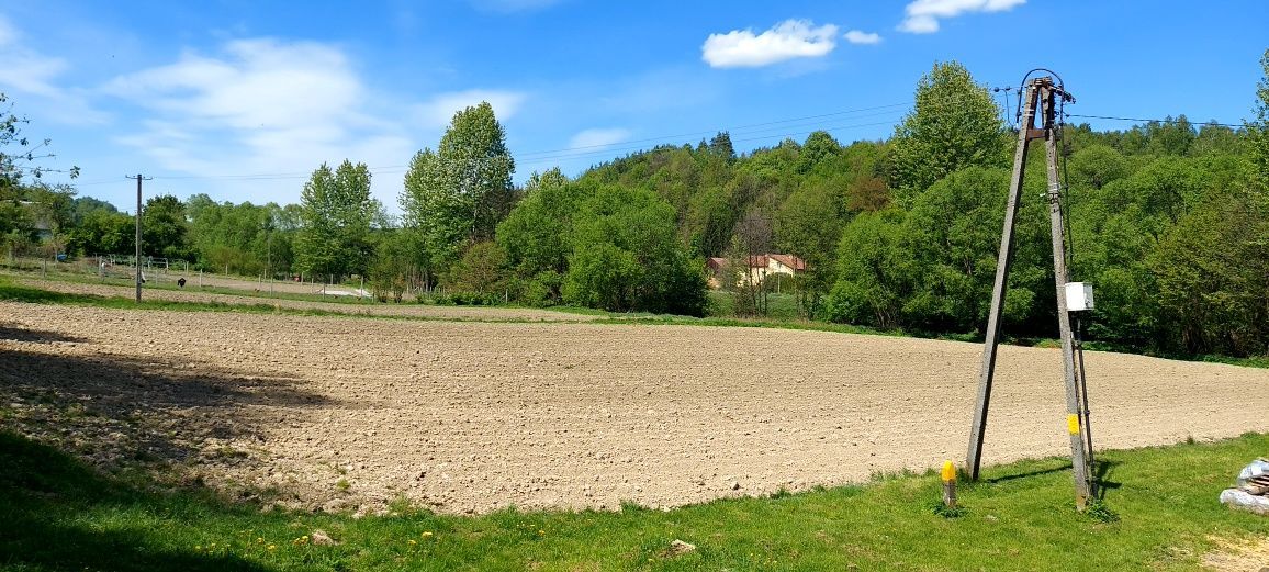 Działka rolna Hłudno. Zdjęcie 2