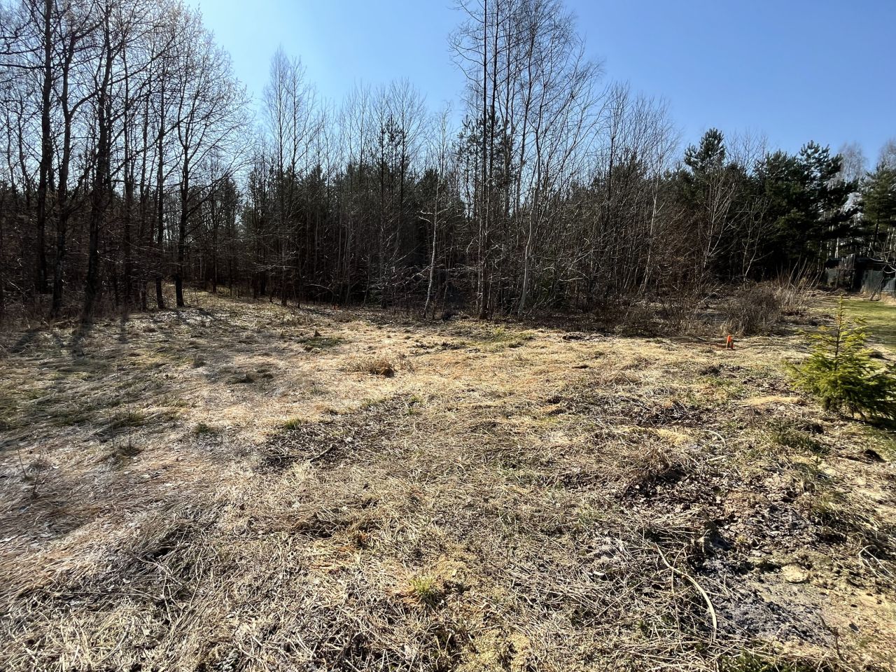 Działka budowlana Góra, działka nr 84/49. Zdjęcie 2