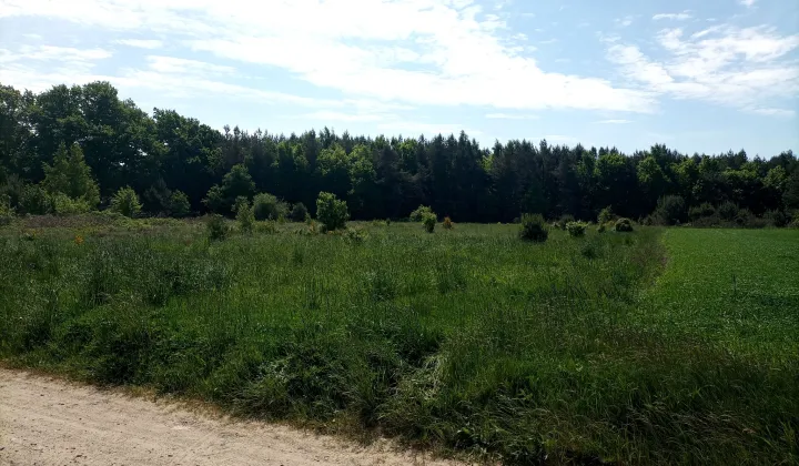 Działka rolna Sasino, ul. Stara Cegielnia