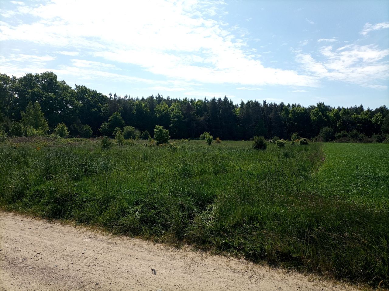 Działka rolna Sasino, ul. Stara Cegielnia. Zdjęcie 1