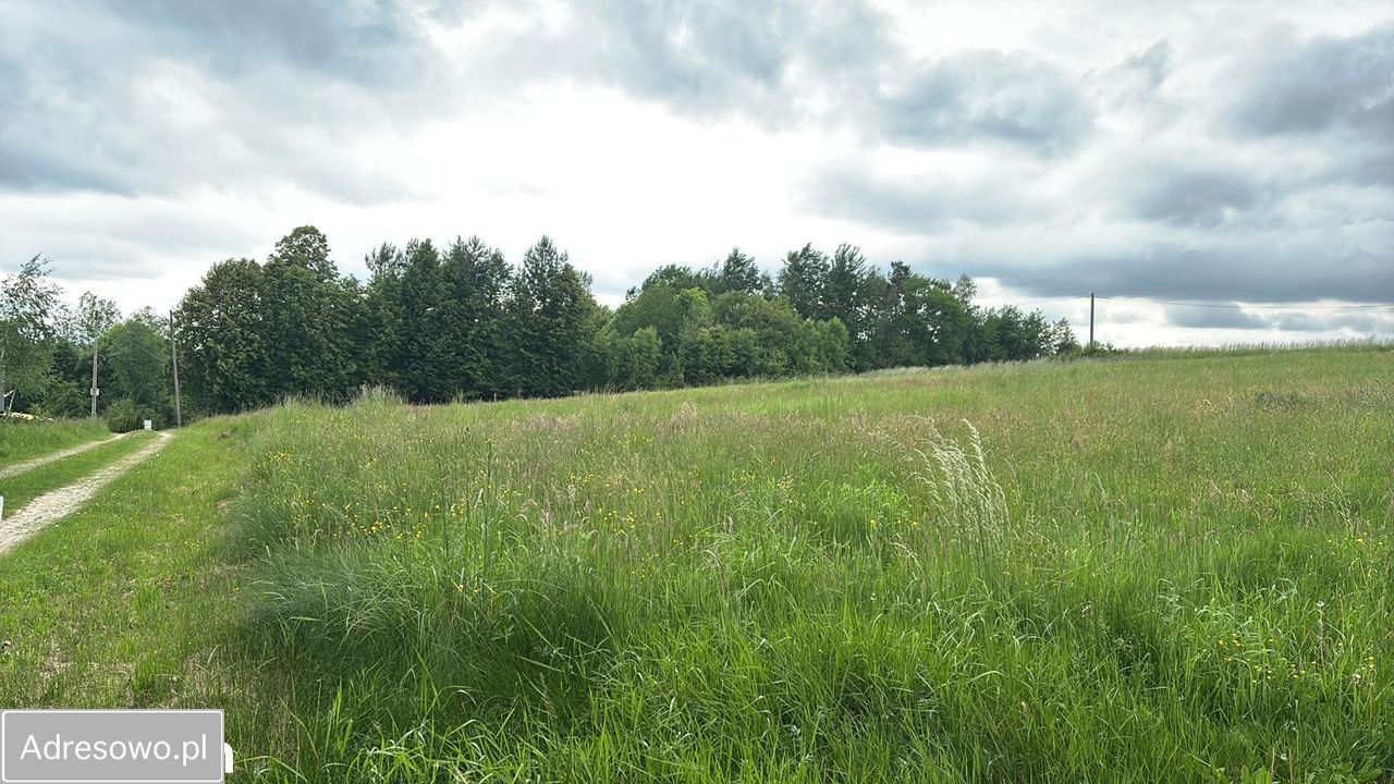 Działka budowlana Baryczka. Zdjęcie 2