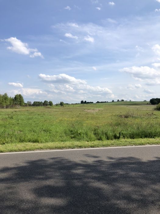 Działka rolno-budowlana Osiek. Zdjęcie 3