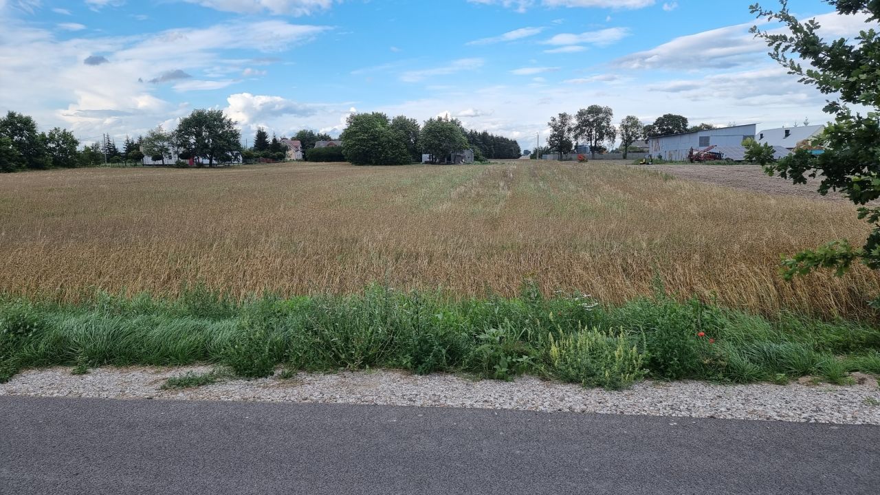 Działka rolno-budowlana Parlin. Zdjęcie 4