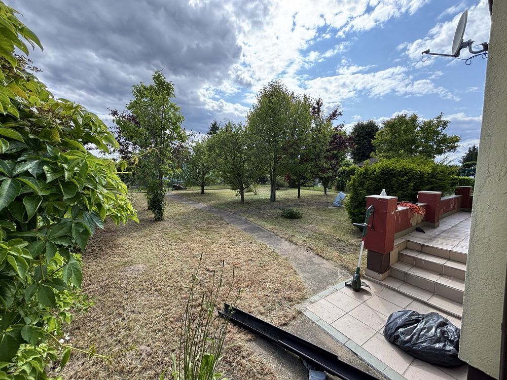 Działka rod Koninko. Zdjęcie 4