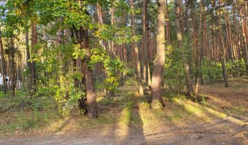 Działka budowlana Wyszków Rybienko Leśne
