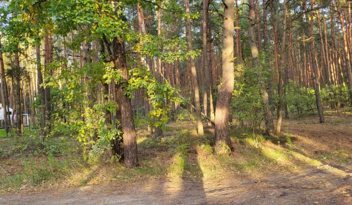 Działka budowlana Wyszków Rybienko Leśne