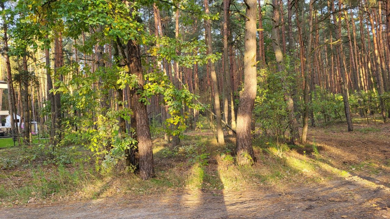 Działka budowlana Wyszków Rybienko Leśne