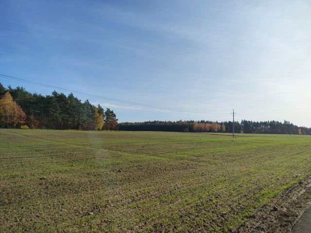 Działka rolna Zaryń. Zdjęcie 1