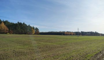 Działka rolna Zaryń