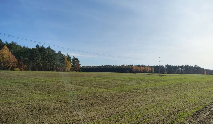 Działka rolna Zaryń